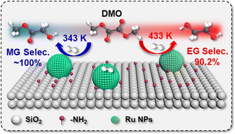 Graphical abstract: Highly selective hydrogenation of dimethyl oxalate to methyl glycolate and ethylene glycol over an amino-assisted Ru-based catalyst