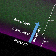 Graphical abstract: Multiple pH waves generated electrochemically and propagated from an electrode surface