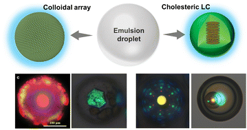 Graphical abstract: Designing photonic microparticles with droplet microfluidics