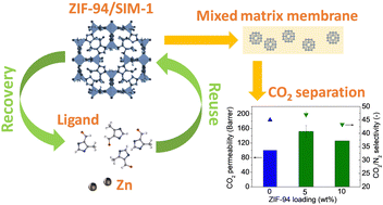 Graphical abstract: A facile route for the recovery of the ligand of zeolitic imidazolate framework ZIF-94/SIM-1