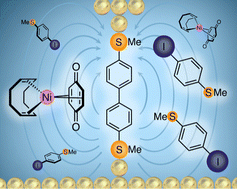 Graphical abstract: Electric-field-induced coupling of aryl iodides with a nickel(0) complex