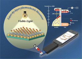 Graphical abstract: High-porosity hybrid bilayer-enabled portable LED plasmonic biosensing