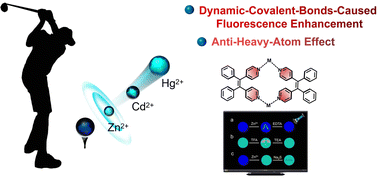 Graphical abstract: Dramatic emission enhancement of aggregation-induced emission luminogens by dynamic metal coordination bonds and the anti-heavy-atom effect