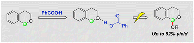 Graphical abstract: Electrochemical α-C(sp3)–H/O–H cross-coupling of isochromans and alcohols assisted by benzoic acid