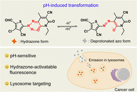 Graphical abstract: A pH-activated fluorescent probe via transformation of azo and hydrazone forms for lysosomal pH imaging