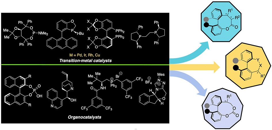 Graphical abstract: Catalytic asymmetric synthesis of medium-sized bridged biaryls