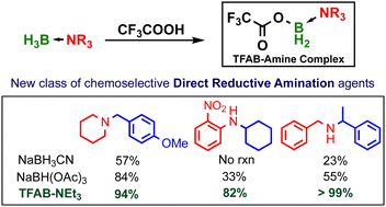 Graphical abstract: Monotrifluoroacetoxyborane-amines: chemoselective reagents for challenging reductive aminations