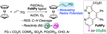 Graphical abstract: Nondirected Pd-catalyzed aerobic C–H alkenylation of ruthenocene and ferrocene