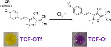 Graphical abstract: TCF-based fluorescent probe for monitoring superoxide anion produced in bacteria under chloramphenicol- and heat-induced stress
