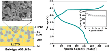 Graphical abstract: A high-energy all-solid-state lithium metal battery with “single-crystal” lithium-rich layered oxides