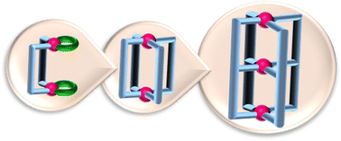 Graphical abstract: Conjoined and non-conjoined coordination cages with palladium(ii) vertices: structural diversity, solution dynamics, and intermolecular interactions