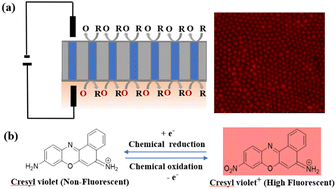 Graphical abstract: Monitoring the electrochemical reactions on a gold nanoelectrode array via fluorescence-enabled electrochemical imaging
