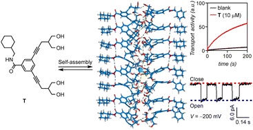 Graphical abstract: Self-assembled anion channel formation by bis(1,3-propanediol)-linked meta-dipropynylbenzene-based small molecules