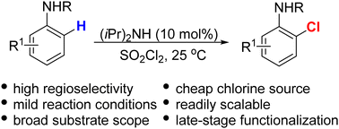 Graphical abstract: Amine organocatalysts for highly ortho-selective chlorination of anilines with sulfuryl chloride
