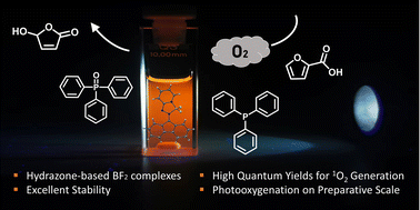 Graphical abstract: Hydrazone-based boron difluoride complexes as triplet photosensitizers for singlet oxygen generation