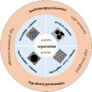 Graphical abstract: Chromatographic separation of peptides and proteins for characterization of proteomes