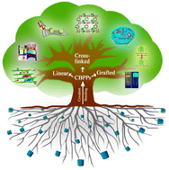 Graphical abstract: Covalently bridged pillararene-based polymers: structures, synthesis, and applications