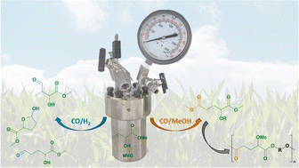 Graphical abstract: New bifunctional monomers from methyl vinyl glycolate