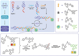 Graphical abstract: Proximity-driven bioorthogonal reactions via DNA circuits enable the accurate aptasensing of non-nucleic acid targets