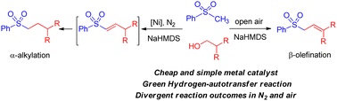 Graphical abstract: Divergent upgrading pathways of sulfones with primary alcohols: nickel-catalyzed α-alkylation under N2 and metal-free promoted β-olefination in open air