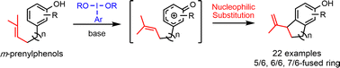 Graphical abstract: Intramolecular cyclization of m-homoprenylphenols through oxidative nucleophilic aromatic substitution