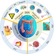 Graphical abstract: Colorectal cancer therapy mediated by nanomedicines