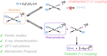 Graphical abstract: Intimate relationship between C–I reductive elimination, aryl scrambling and isomerization processes in Au(iii) complexes