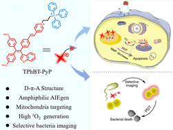 Graphical abstract: Mitochondria-targeting NIR AIEgens with cationic amphiphilic character for imaging and efficient photodynamic therapy