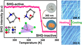 Graphical abstract: A photoluminescent chiral lead-free hybrid ferroelastic semiconductor with switchable second-harmonic generation