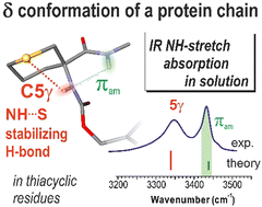 Graphical abstract: Non-covalent interactions reveal the protein chain δ conformation in a flexible single-residue model