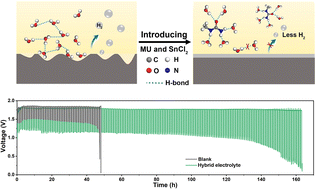 Graphical abstract: Regulating solvation and interface chemistry enables advanced aluminum-air batteries