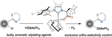Graphical abstract: Iridium(i) complexes with bidentate NHC ligands as catalysts for dehydrogenative directed C–H silylation