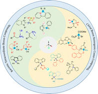 Graphical abstract: Recent advances in the construction of tetracoordinate boron compounds