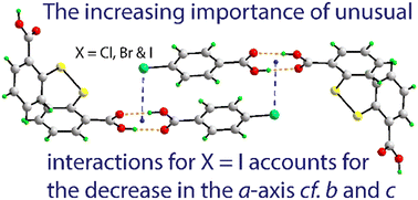 Graphical abstract: Structural systematics in isomorphous binary co-crystal solvates comprising 2,2′-dithiodibenzoic acid, 4-halobenzoic acid and dimethylformamide (1 : 1 : 1), for halide = chloride, bromide and iodide