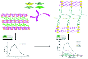Graphical abstract: An insight into sensitive detection of metal ions using a novel cobalt MOF: single crystal, photoluminescence, and theoretical studies