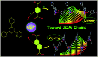 Graphical abstract: Tuning chain topologies and magnetic anisotropy in one-dimensional cobalt(ii) coordination polymers via distinct dicarboxylates