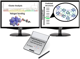 Graphical abstract: Crystal structure prediction of N-halide phthalimide compounds: halogen bonding synthons as a touchstone