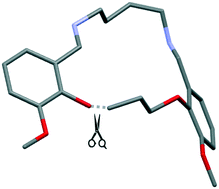 Graphical abstract: An efficient treatment of ring conformations during molecular crystal structure determination from powder diffraction data