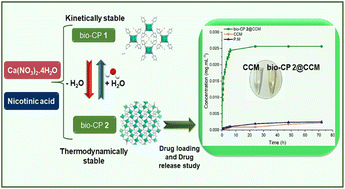 Graphical abstract: A Ca-based nano bio-coordination polymer providing reversible structural conversion with ability to enhance cytotoxicity of curcumin and induce apoptosis in human gastric cancer AGS cells