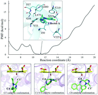 Graphical abstract: Investigation of the molecular and mechanistic basis for the regioselective metabolism of midazolam by cytochrome P450 3A4
