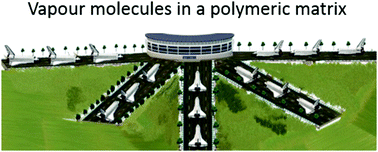 Graphical abstract: Surface coverage of alcohols on carbon nanomembranes under ambient conditions