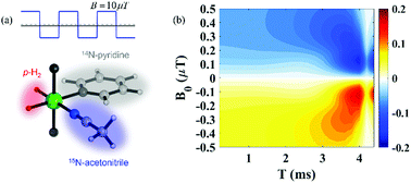 Graphical abstract: SABRE enhancement with oscillating pulse sequences