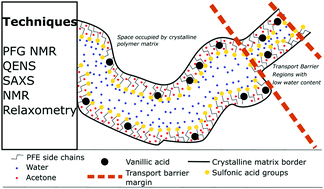 Graphical abstract: Influence of vanillic acid immobilization in Nafion membranes on intramembrane diffusion and structural properties