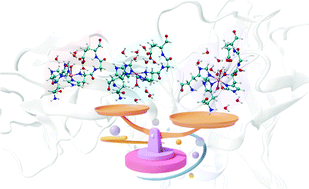 Graphical abstract: Refining details of the structural and electronic properties of the CuB site in pMMO enzyme through sequential molecular dynamics/CPKS-EPR calculations