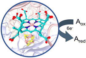 Graphical abstract: [Fe4S4] cubane in sulfite reductases: new insights into bonding properties and reactivity
