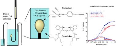 Graphical abstract: Study of surfactant cross-linking by click chemistry on a model water/oil interface
