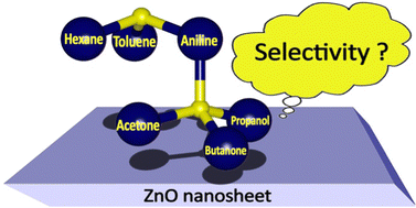 Graphical abstract: Selectivity of volatile organic compounds on the surface of zinc oxide nanosheets for gas sensors