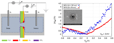Graphical abstract: Regulation of ionic current through a surround-gated nanopore via field effect control