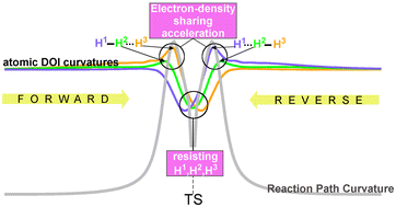 Graphical abstract: New insight into atomic-level interpretation of interactions in molecules and reacting systems