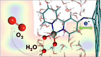 Graphical abstract: Surface-chemistry-driven water dissociation on cobalt-based graphene hybrid from molecular dynamics simulations
